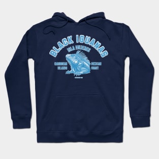 Iguanas from Isla Mujeres, Mexico Hoodie